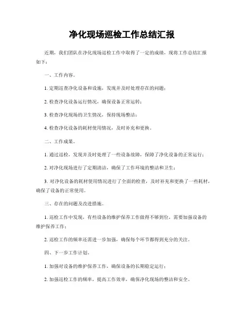 净化现场巡检工作总结汇报