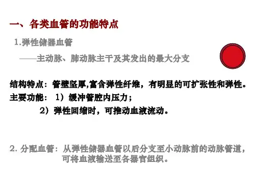 生理学课件第三节血管生理ppt