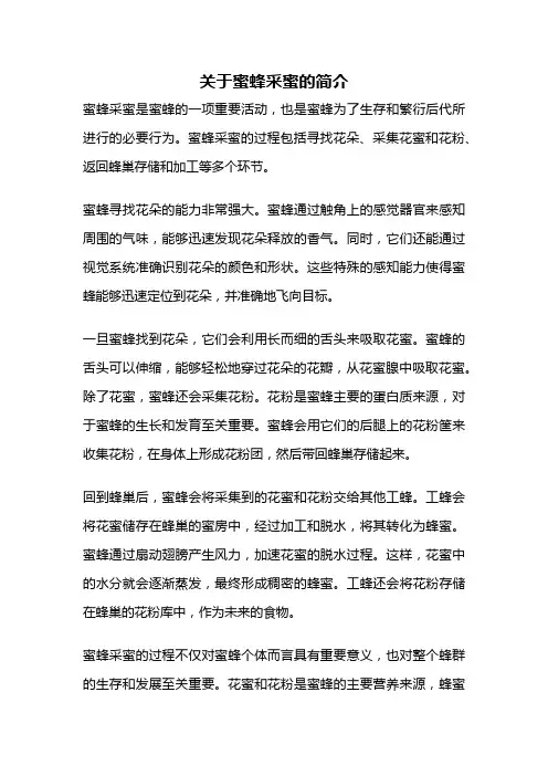 关于蜜蜂采蜜的简介