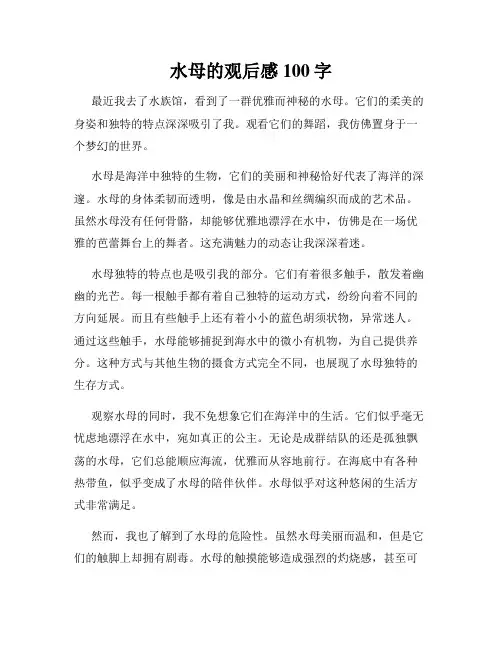 水母的观后感100字