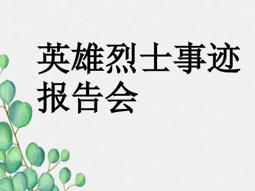 英雄事迹报告会分析
