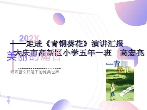 青铜葵花课件阅读指导