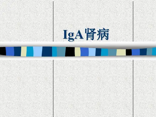 IgA 肾病