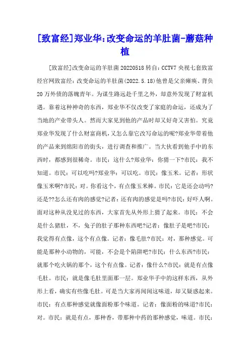 [致富经]郑业华：改变命运的羊肚菌 - 蘑菇种植