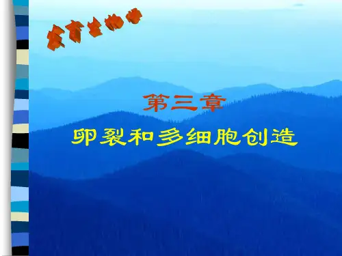 第三章卵裂