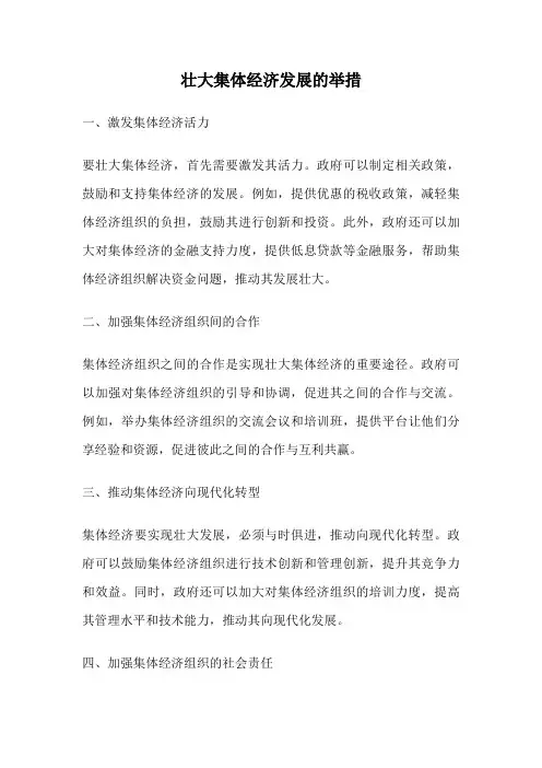 壮大集体经济发展的举措