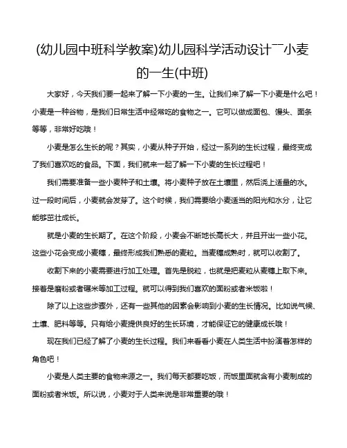 (幼儿园中班科学教案)幼儿园科学活动设计――小麦的一生(中班)