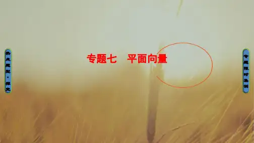2018年高考数学文科江苏专版二轮专题复习与策略课件：专题七 平面向量 精品