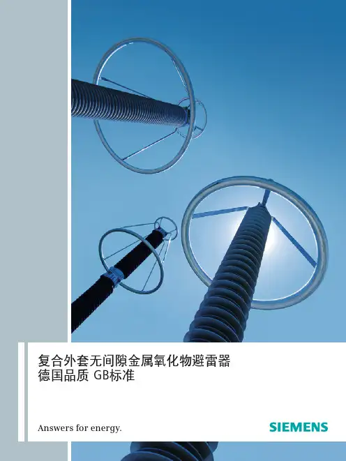 GB_Type-OEM(西门子避雷器)