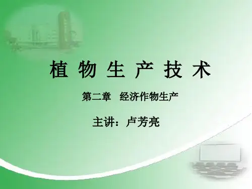 经济作物生产
