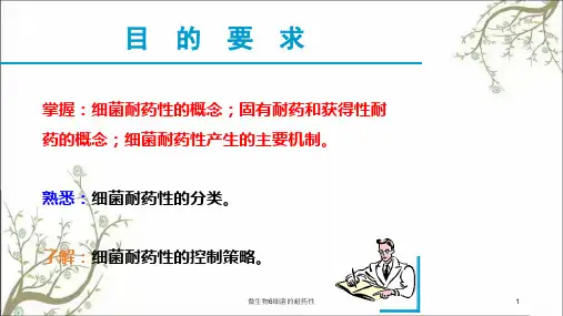 微生物6细菌的耐药性