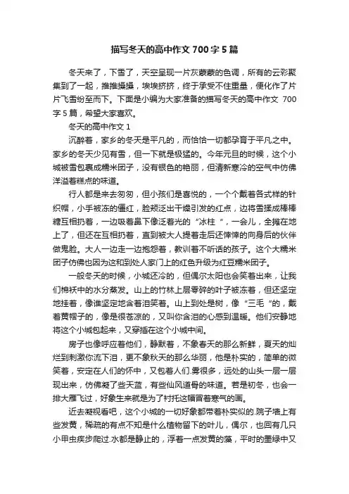 描写冬天的高中作文700字5篇