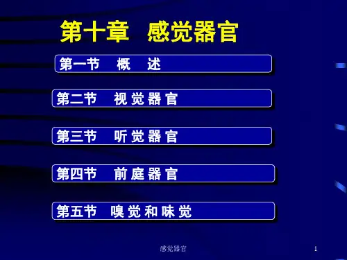 感觉器官ppt课件