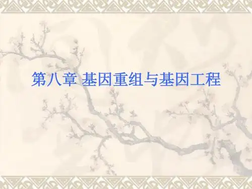 分子生物学8 DNA重组技术liu