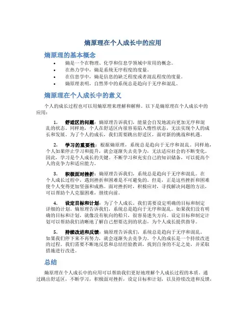 熵原理在个人成长中的应用