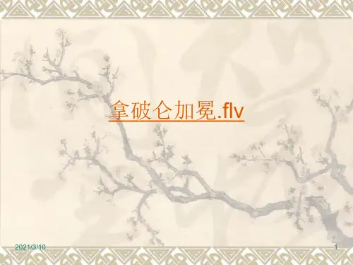 拿破仑时代的欧洲民主PPT课件