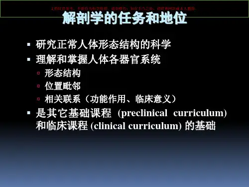 人体解剖学讲解培训课件