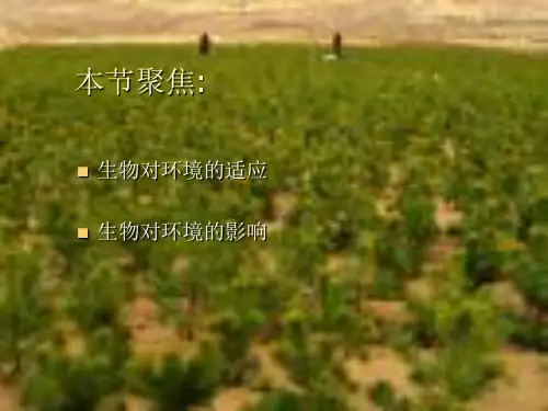 第三节生物对环境的适应和影响20页PPT