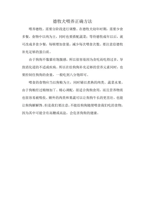 德牧犬喂养正确方法