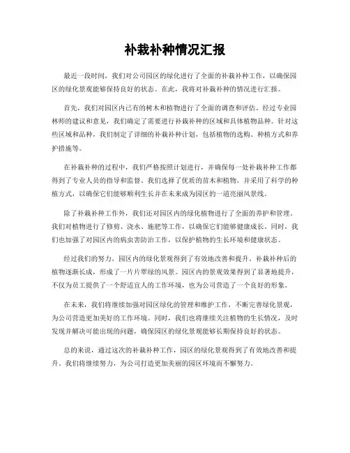 补栽补种情况汇报