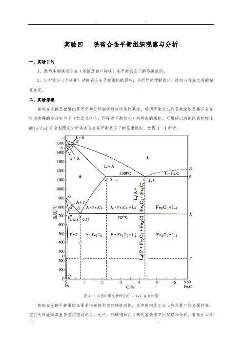 铁碳合金平衡组织观察与分析报告