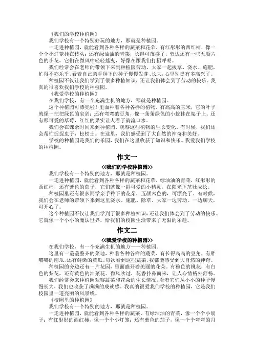 学校的种植园作文300字