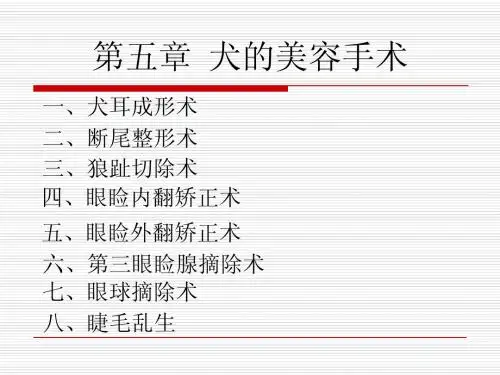 第五章  犬的美容手术
