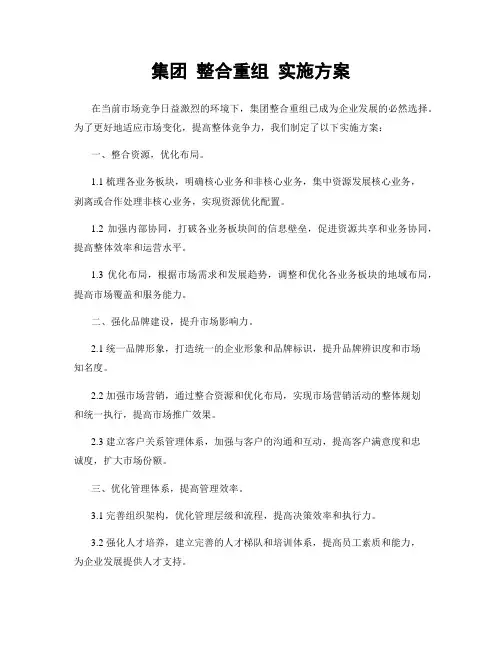 集团 整合重组 实施方案