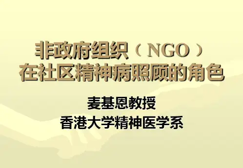 非政府组织NGO PPT课件