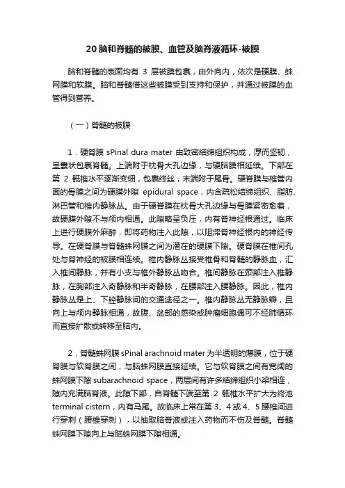20脑和脊髓的被膜、血管及脑脊液循环-被膜