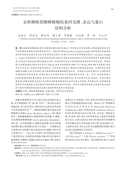 金柑磷酸蔗糖磷酸酶的基因克隆、表达与蛋白结构分析