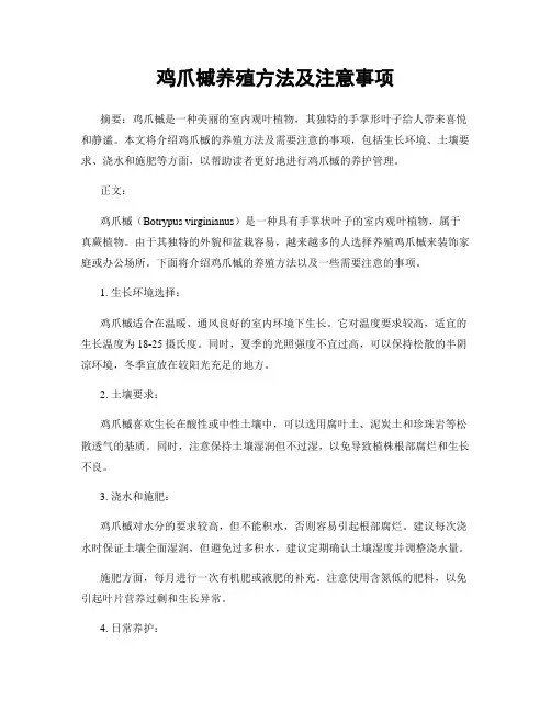 鸡爪槭养殖方法及注意事项