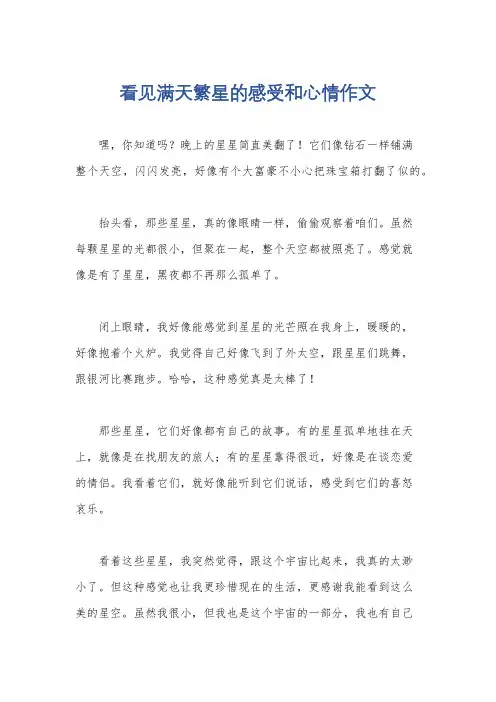看见满天繁星的感受和心情作文