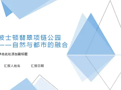 波士顿绿宝石项链