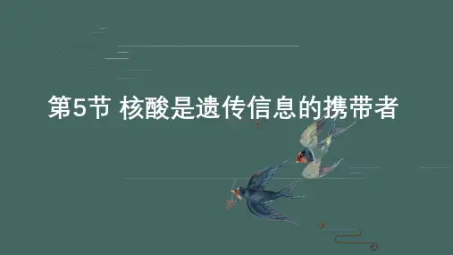 核酸是遗传信息的携带者ppt课件