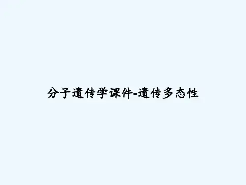 分子遗传学课件-遗传多态性-