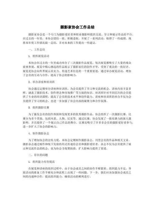 摄影家协会工作总结
