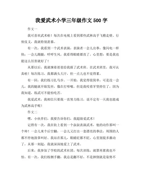 我爱武术小学三年级作文500字