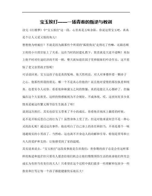 宝玉挨打读后感700字
