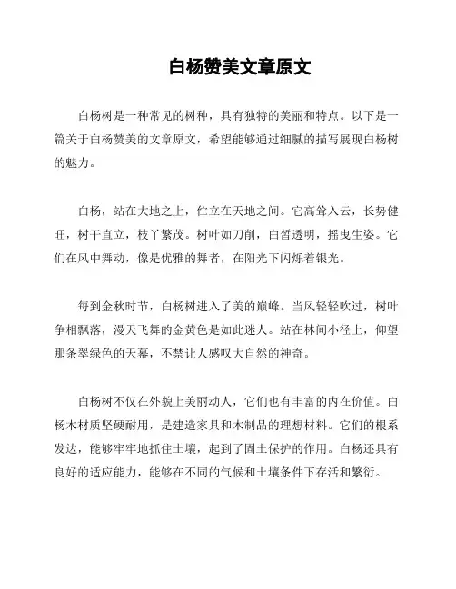 白杨赞美文章原文