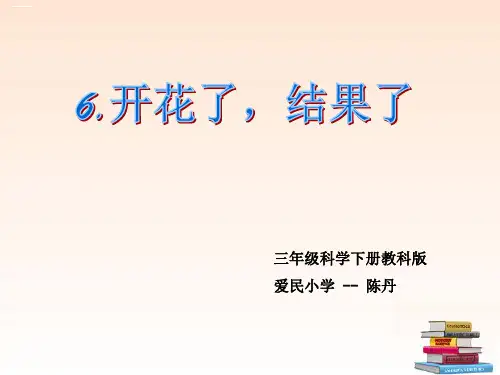 四年级上册科学课件《5花和果实》青岛版(六年制)PPT课件13