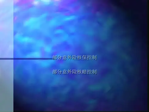 某公司意外险管理规划(ppt 33页)