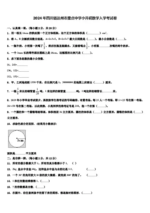 2024年四川省达州市重点中学小升初数学入学考试卷含解析