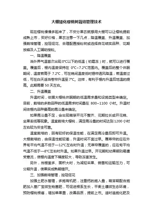 大棚矮化樱桃树栽培管理技术