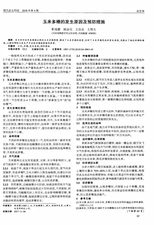 玉米多穗的发生原因及预防措施