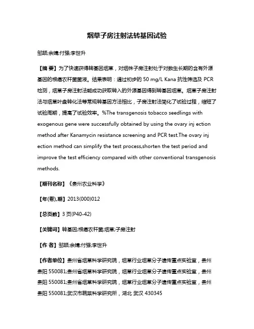 烟草子房注射法转基因试验