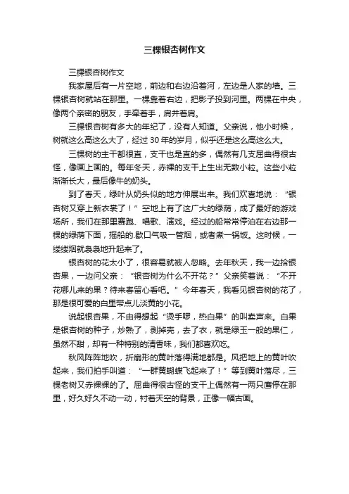 三棵银杏树作文