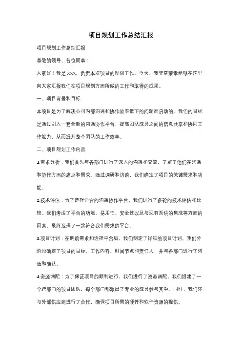 项目规划工作总结汇报