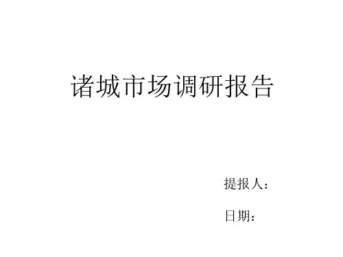 诸城项目市场调研报告3讲解