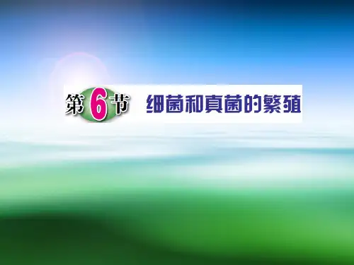 浙教版七年级科学下册 细菌和真菌的繁殖